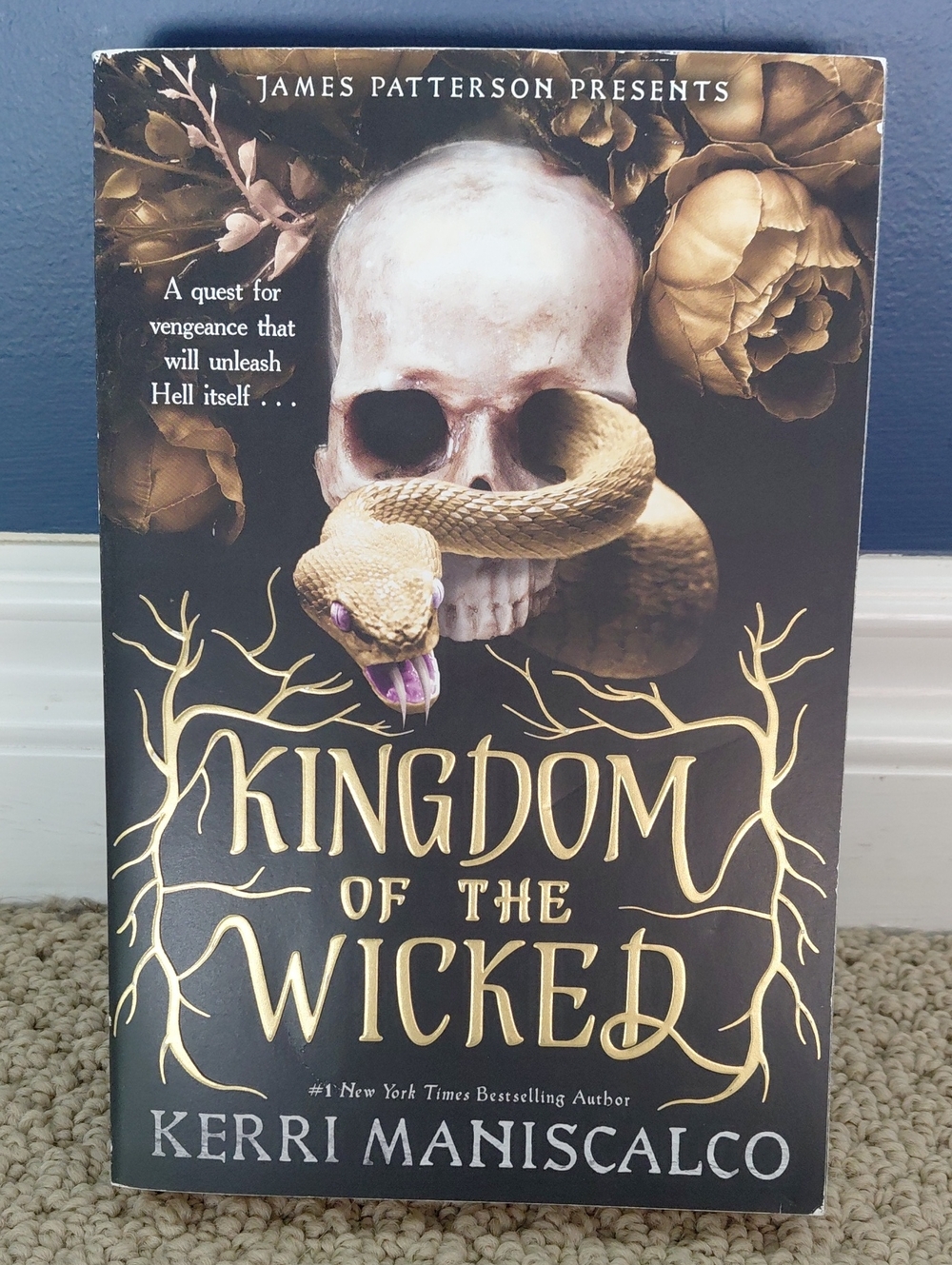🌼5 For $25🌼 Kingdom Of The Wicked By Kerri Maniscalco